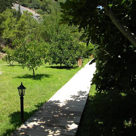Azra Villas Çıralı 객실 사진