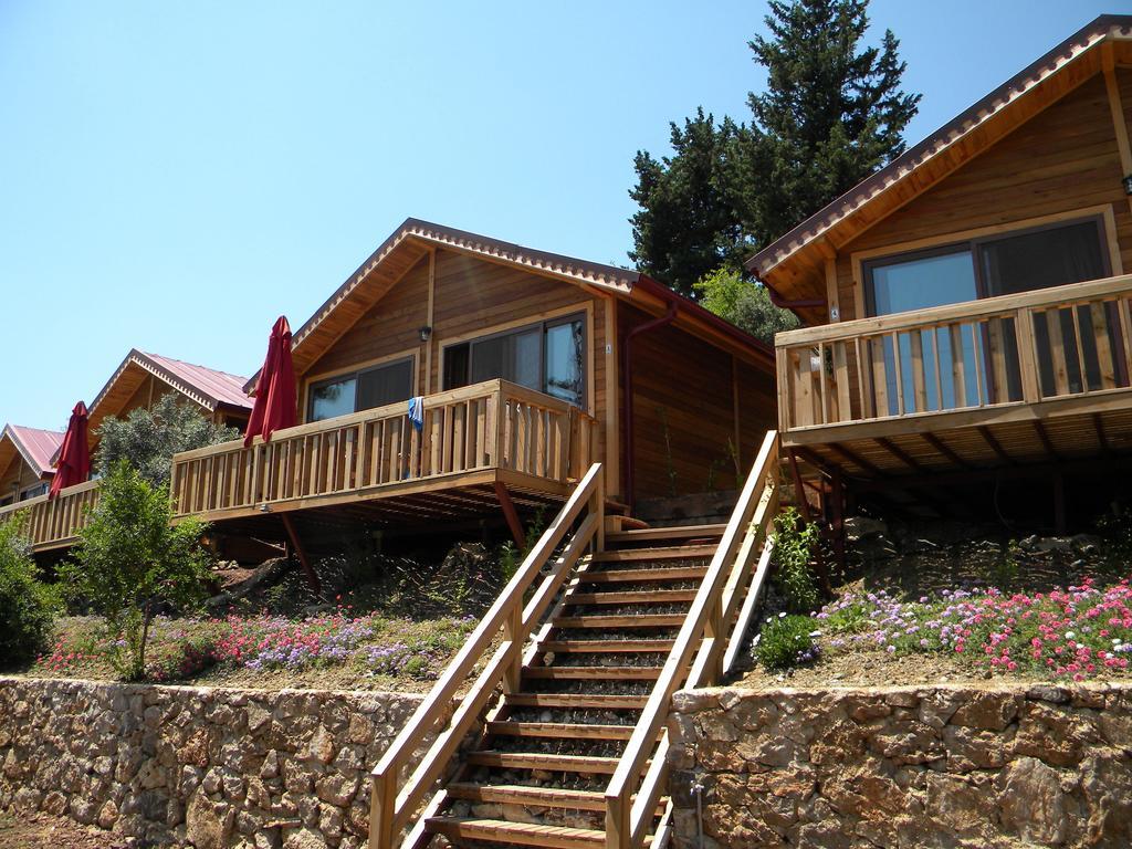Azra Villas Çıralı 객실 사진