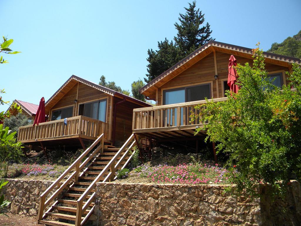 Azra Villas Çıralı 객실 사진