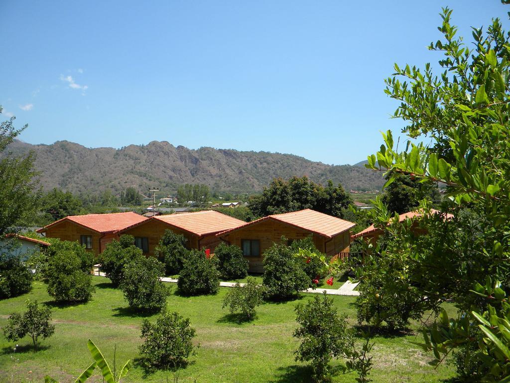 Azra Villas Çıralı 객실 사진