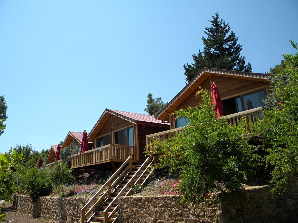 Azra Villas Çıralı 객실 사진