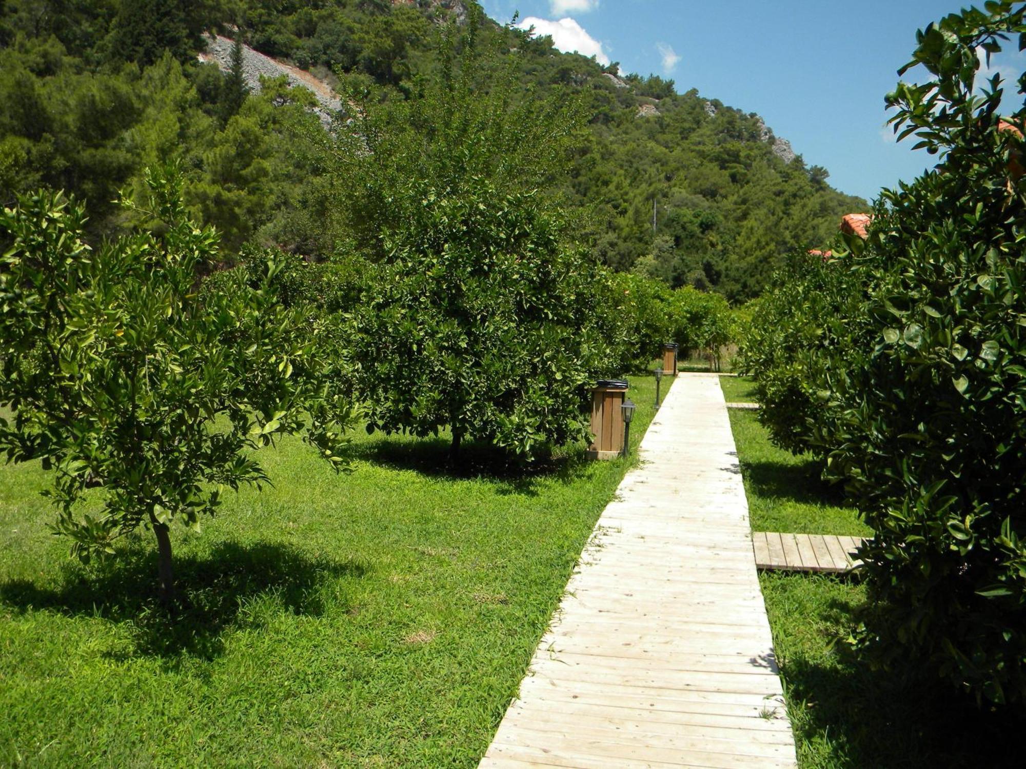 Azra Villas Çıralı 객실 사진
