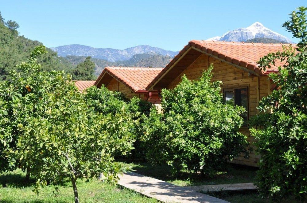 Azra Villas Çıralı 외부 사진